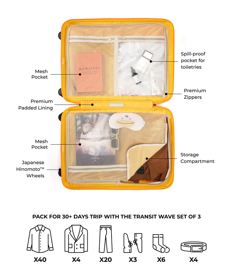 Hard-Shell Luggage Set (3-Piece) – TSA Lock, 360° Spinner Wheels, Lightweight Travel Suitcases